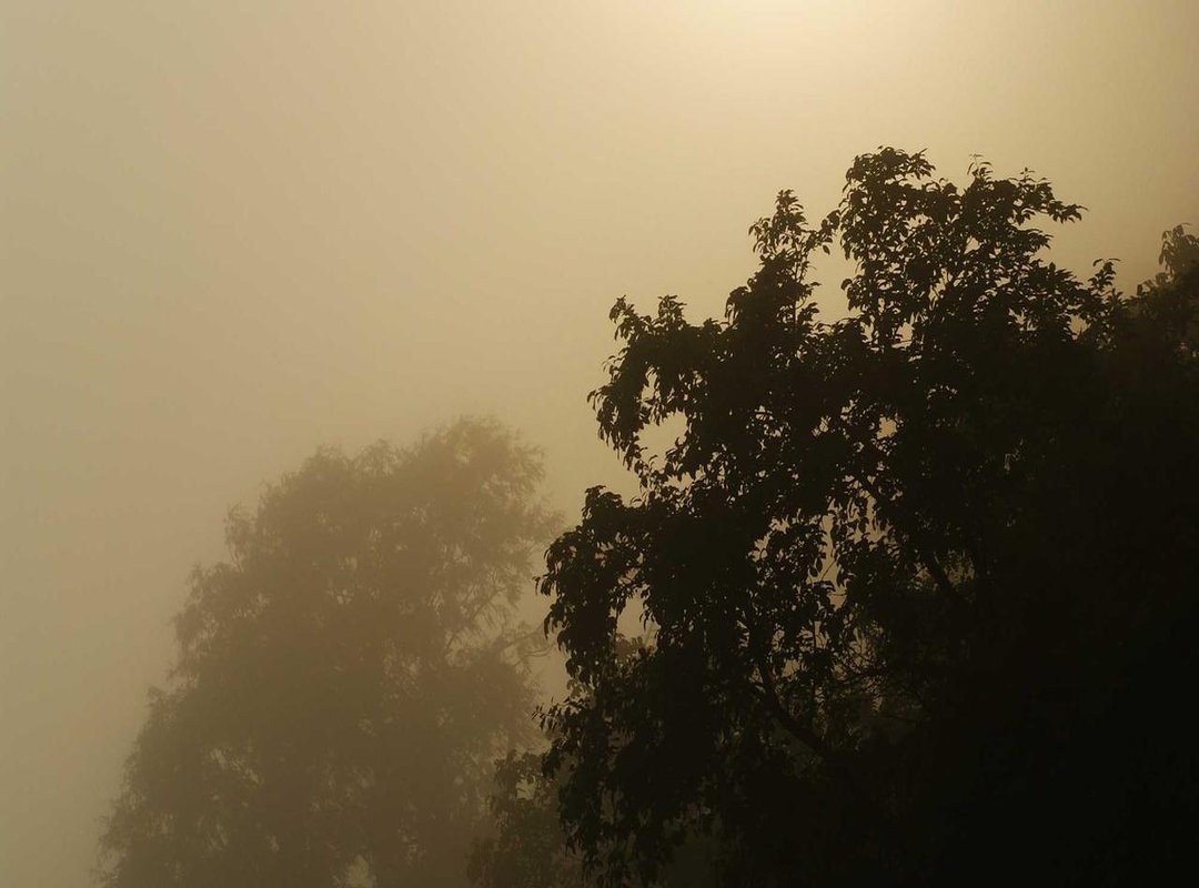 You've Found Snake Scat: What to Do Next