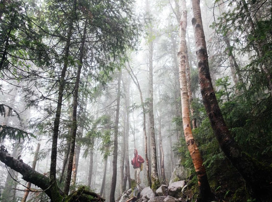 Pro-Tips: Speed Up Your Messaging with Emoji Shortcuts