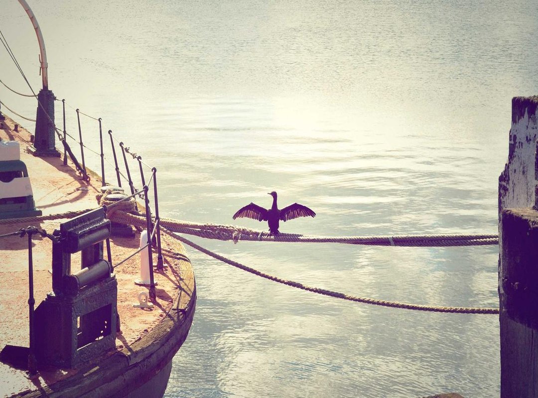 Mubarakallah Khair vs. Barakallahu Fik: Spotting the Difference