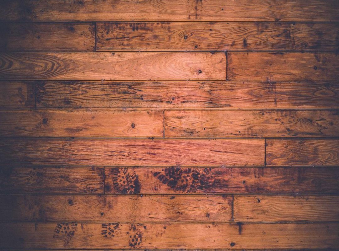 More Than Rivals: A Glimpse into a Powerful Friendship