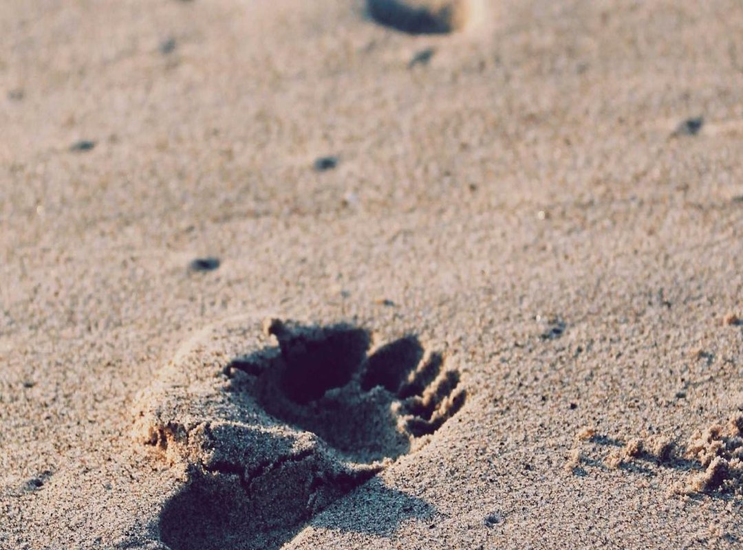 When to Go: Understanding Santa Veronica's Windy Seasons and Patterns