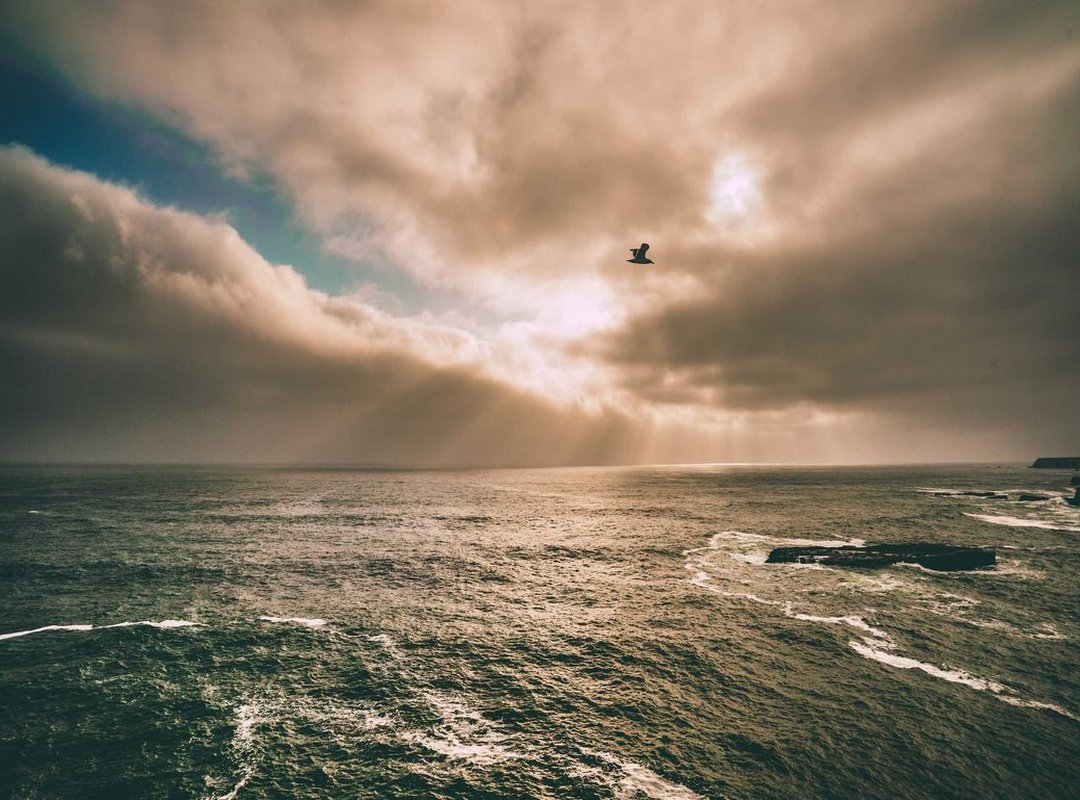 The Reward: What Unlocking the Vault Gets You